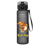 Gourde Pokémon Méga-Dracaufeu Y