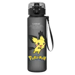 Gourde Pokémon Pichu