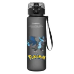 Gourde Pokémon Méga-Dracaufeu X