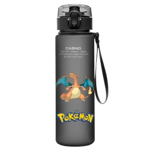 Gourde Pokémon Dracaufeu